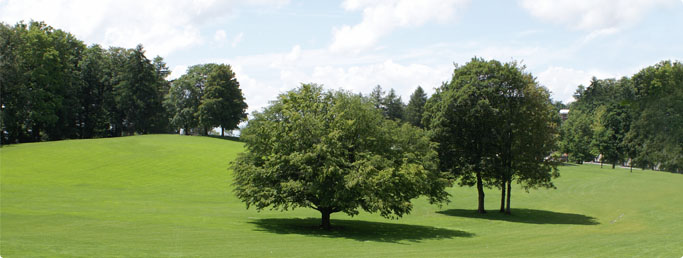 Garten Haus Wald     Schwaiger